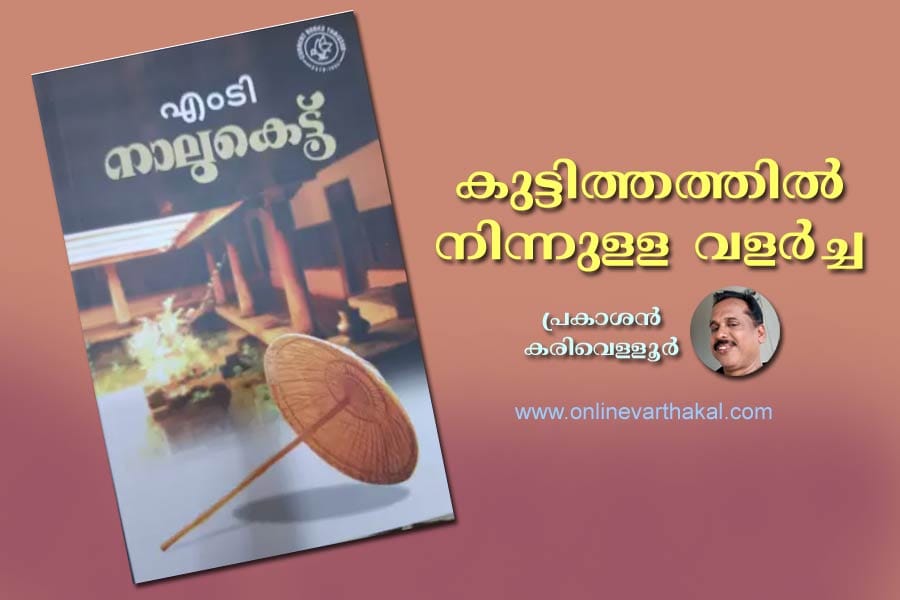 കുട്ടിത്തത്തിൽ നിന്നുള്ള വളർച്ച