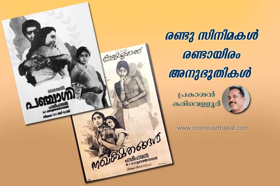 രണ്ടു സിനിമകൾ രണ്ടായിരം അനുഭൂതികൾ