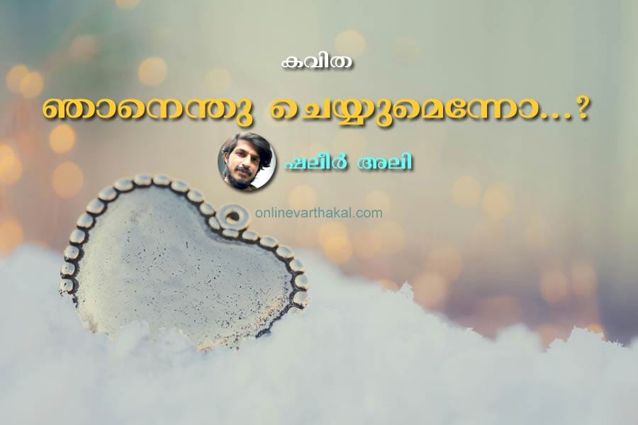 shaleer-ali-poem ഞാനെന്തു ചെയ്യുമെന്നോ...?