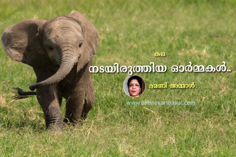 നടയിരുത്തിയ ഓർമ്മകൾ..