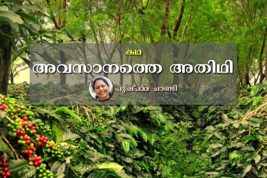 അവസാനത്തെ അതിഥി 