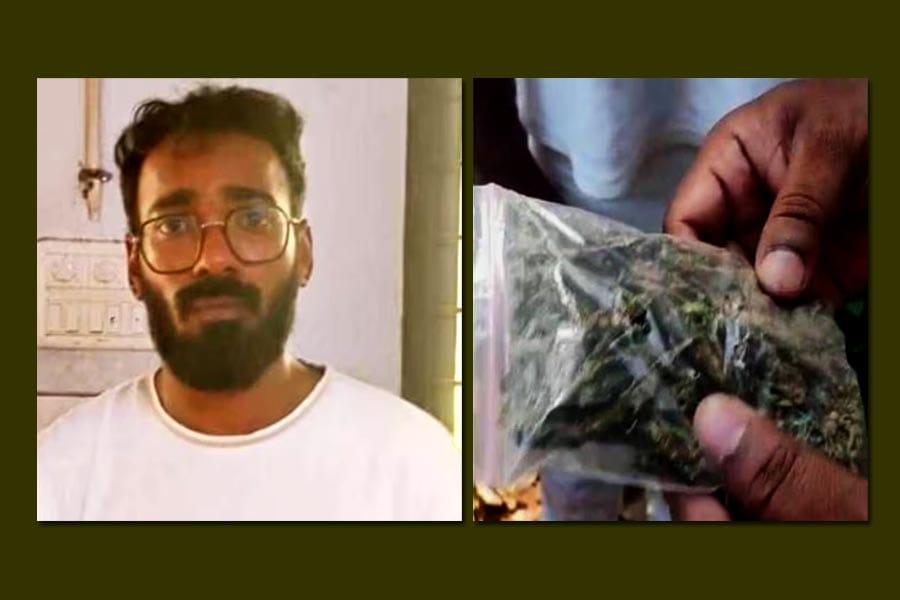 hybrid-kanjavu ഹൈബ്രിഡ് കഞ്ചാവുമായി ‘ആവേശം’ സിനിമയുടെ മേക്കപ്പ് മാൻ പിടിയിൽ