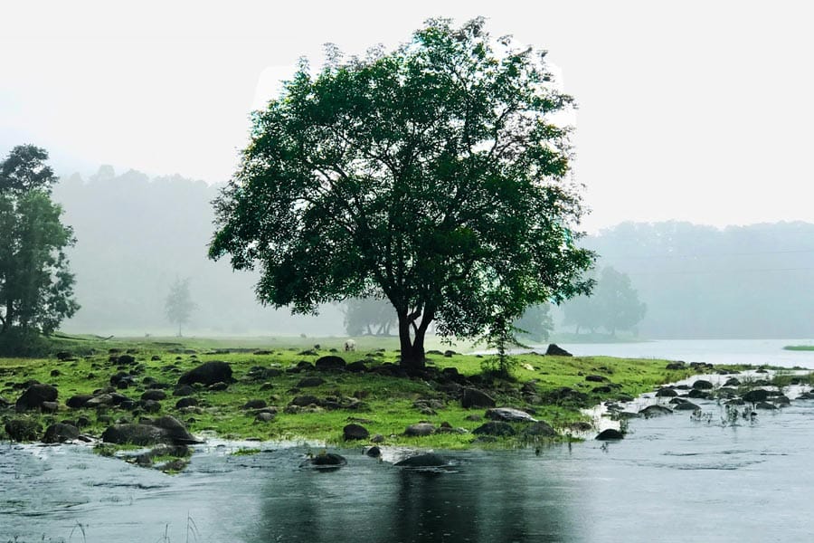 kerala കേരളം ചുട്ടുപൊള്ളുന്നു