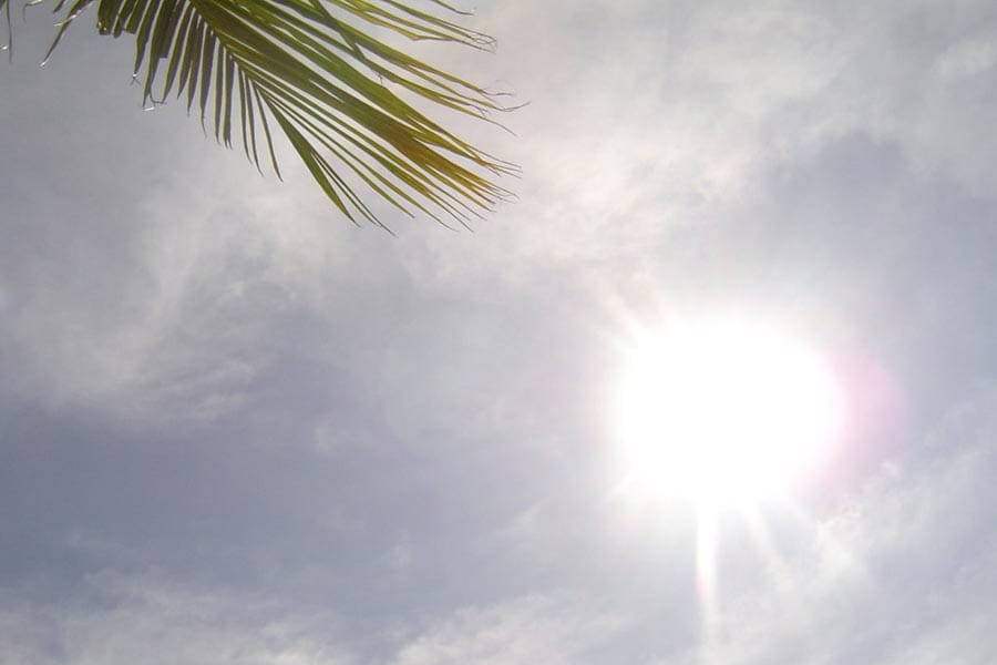 sun-hot-weather ഹരിപ്പാടിൽ ഏഴ് വയസ്സുകാരന് സൂര്യാതപമേറ്റു; മാവേലിക്കരയിൽ കർഷകൻ പാടത്ത് മരിച്ചനിലയിൽ.