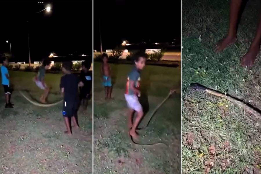 പെരുമ്പാമ്പിനെ സ്കിപ്പിങ് റോപ്പാക്കി കുട്ടികൾ.