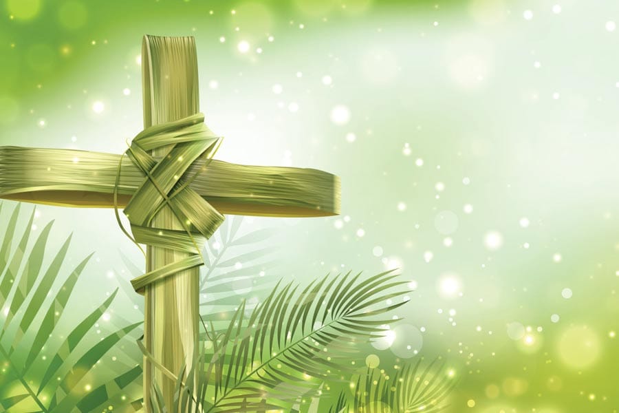 ഇന്ന് ഓശാന ഞായര്‍; വിശുദ്ധവാരത്തിന് തുടക്കം, ദേവാലയങ്ങൾ പ്രാർഥനാനിരതം