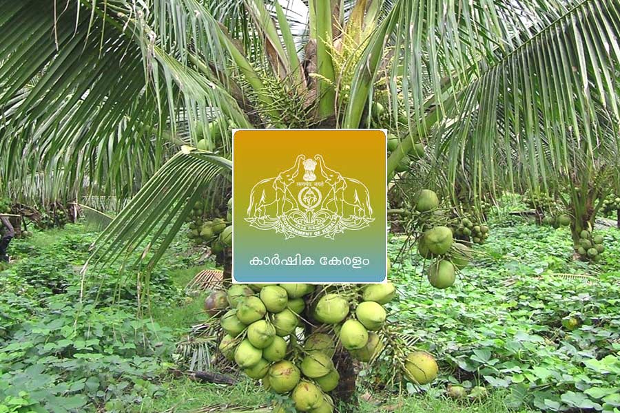 ലോക ബാങ്ക് സഹായം വകമാറ്റി സർക്കാർ; പരിശോധനയ്ക്ക് ലോക ബാങ്ക് സംഘം കേരളത്തിലേക്ക്