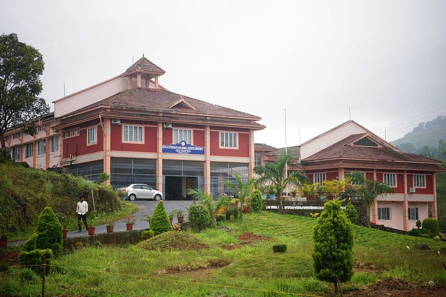 പൂക്കോട് വെറ്ററിനറി സർവകലാശാലയിലെ 19 വിദ്യാർഥികളെ പുറത്താക്കി