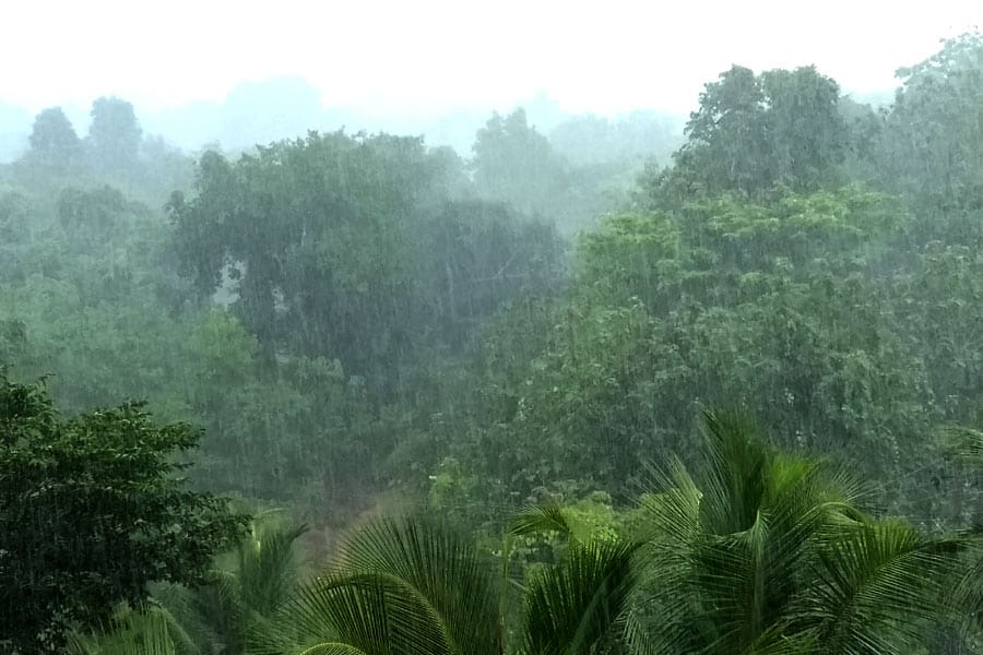 കേരളത്തിൽ കാലവർഷമെത്തി