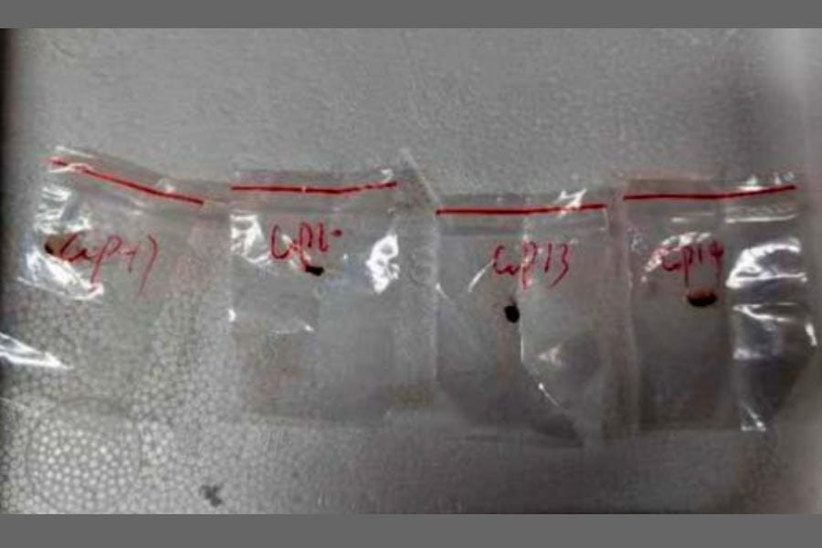 അപകടകാരികളായ രോഗാണുക്കളെ യുഎസിലേക്ക് കടത്തി; ചൈനക്കാരായ രണ്ട് യുവ ഗവേഷകരെ എഫ്ബിഐ) അറസ്റ്റ് ചെയ്‌തു.