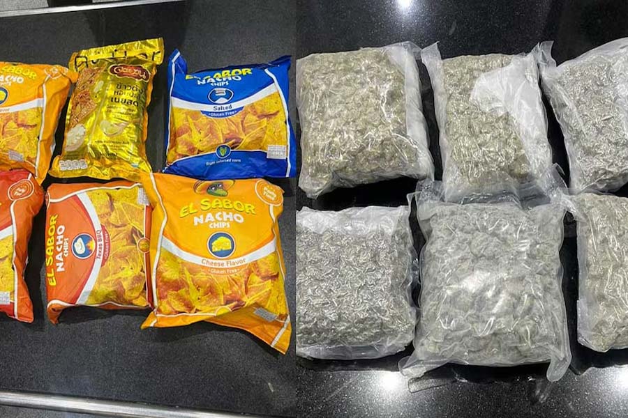 hybrid-cannabis-kanjavu 3 കോടി രൂപയുടെ ഹൈബ്രിഡ് കഞ്ചാവുമായി മലയാളി യുവതി കോയമ്പത്തൂരിൽ പിടിയിൽ; വന്നത് ഓസ്ട്രേലിയയിൽ നിന്ന്.