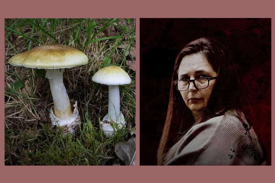 ഭർത്താവിൻ്റെ ബന്ധുക്കളെ വിഷം കൊടുത്തു കൊന്ന കേസിൽ എറിൻ പാറ്റേഴ്‌സൺ കുറ്റക്കാരിയെന്ന് കോടതി