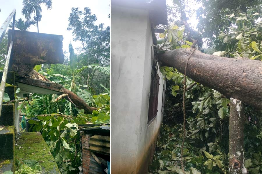 കേരളത്തിൽ കനത്ത മഴയിൽ വ്യാപക നാശം; ഒൻപത് ജില്ലകളിൽ യെലോ അലർട്ട്.
