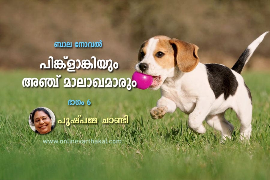 പിങ്ക്ളാങ്കിയും അഞ്ച് മാലാഖമാരും ബാല നോവൽ - ഭാഗം 6