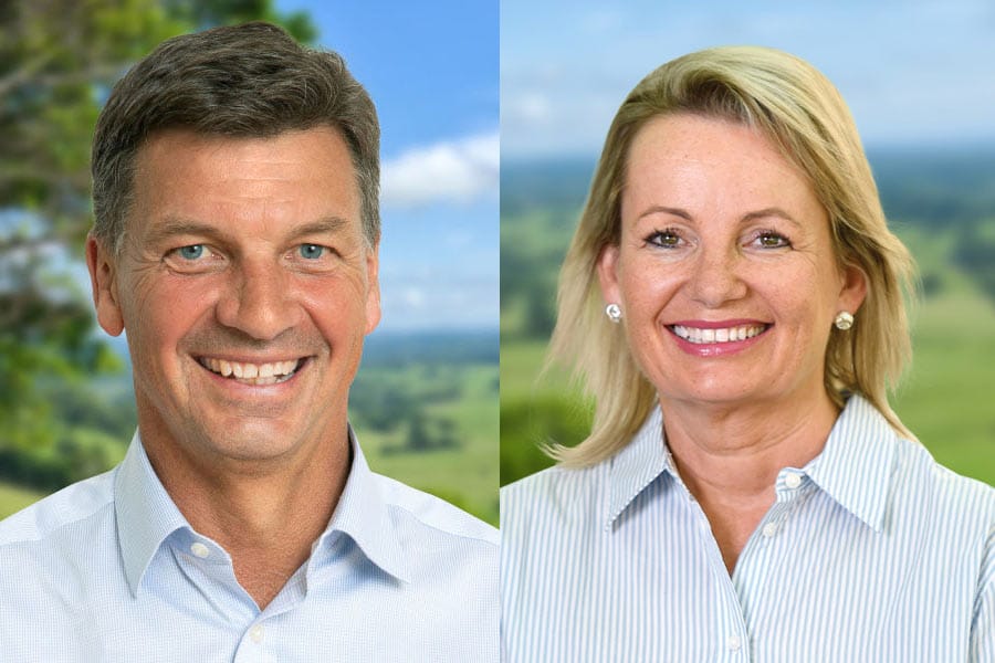 Angus-Taylor-ousts-Sussan-L ലിബറൽ പാർട്ടിയിൽ നേതൃമാറ്റം; ആംഗസ് ടെയ്ലർ പുതിയ അമരക്കാരൻ; സൂസൻ ലേ രാഷ്ട്രീയത്തിൽ നിന്ന് വിരമിച്ചു