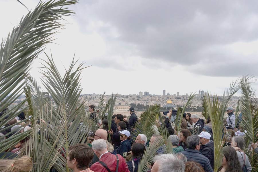 Mount-of-Olives-to-Jerusale ഇറാനുമായുള്ള സംഘർഷം മൂലമുള്ള സുരക്ഷാ ഭീഷണികൾ പരിഗണിച്ച് ജെറുസലേമിലെ പരമ്പരാഗതമായ ഓശാന ഞായർ പ്രദിക്ഷണം റദ്ദാക്കി.