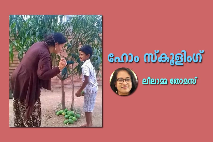 ഹോം സ്കൂളിംഗ്