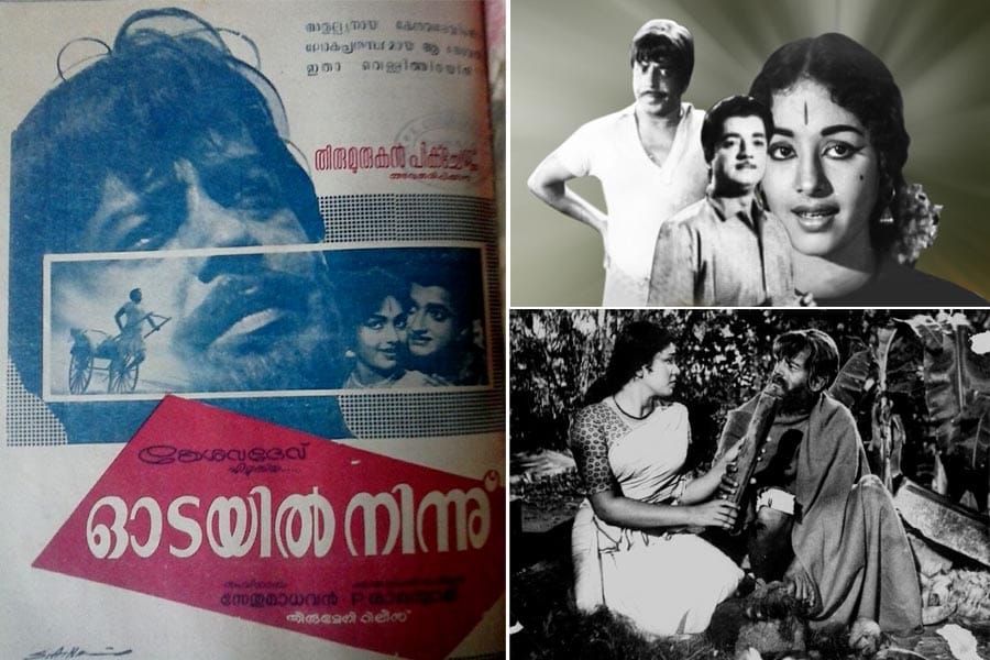 പപ്പു എന്ന കഥാപാത്രം...  മലയാള സാഹിത്യത്തിൽ അടയാളപ്പെടുത്തിയ പേര്.