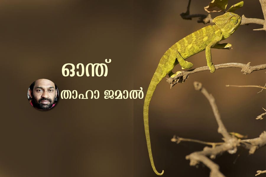 onth-poem ഓന്ത് കവിത