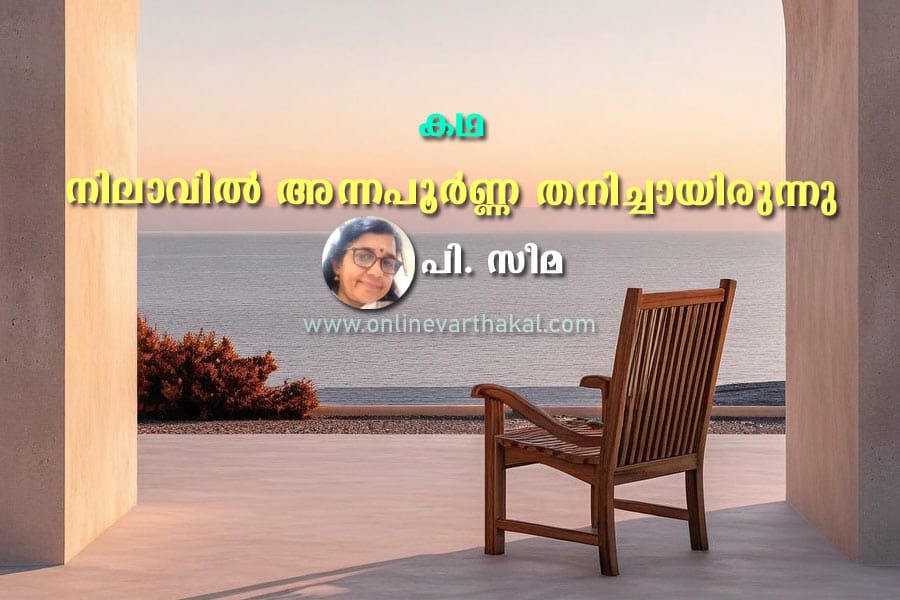 കഥ - നിലാവിൽ അന്നപൂർണ്ണ തനിച്ചായിരുന്നു