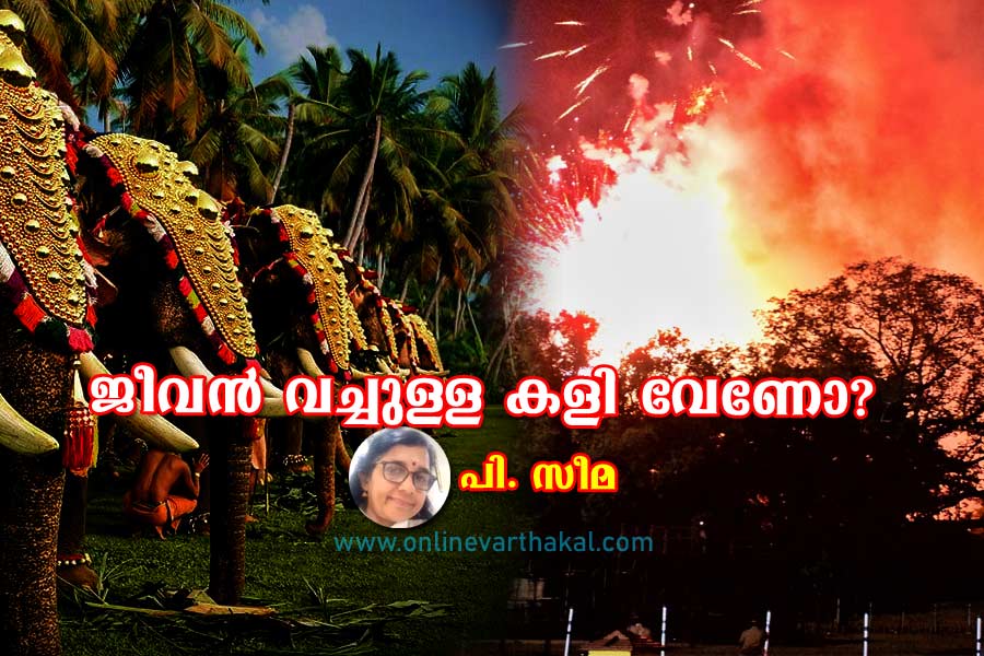 jeevan-vechulla-kali-veno കരിമരുന്ന് - നിർമ്മാണം, കലാപ്രകടനങ്ങൾ - ജീവൻ വച്ചുള്ള കളി വേണോ?