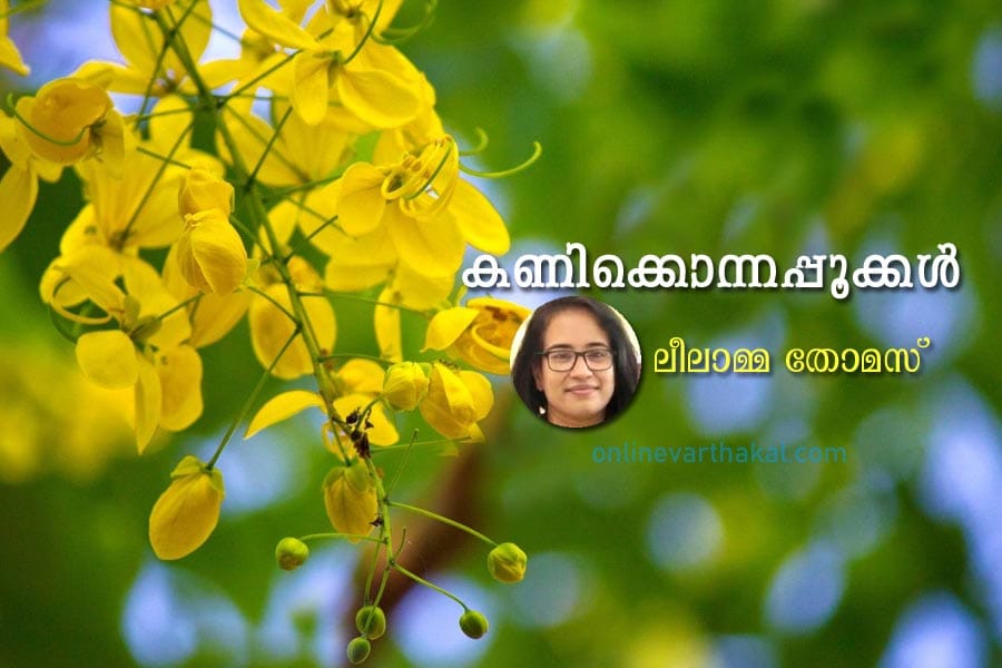 kanikonnappookkal കണിക്കൊന്നപ്പൂക്കൾ