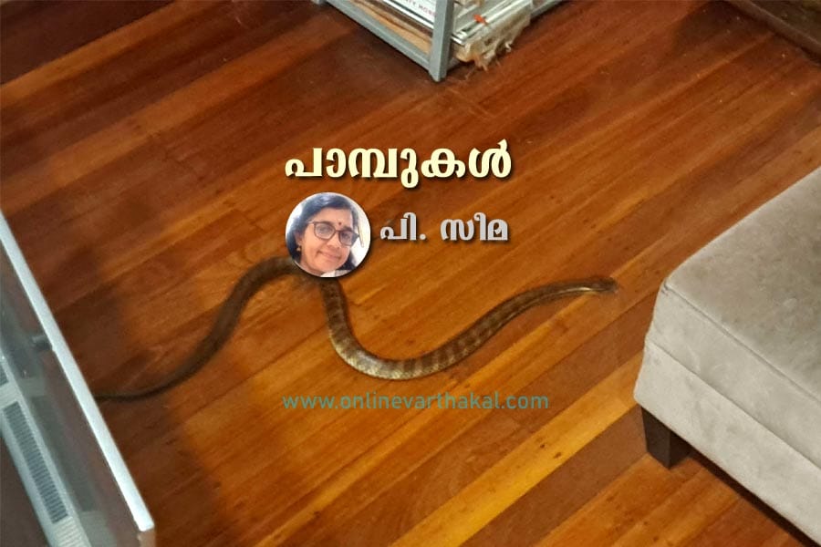 പാമ്പുകൾ