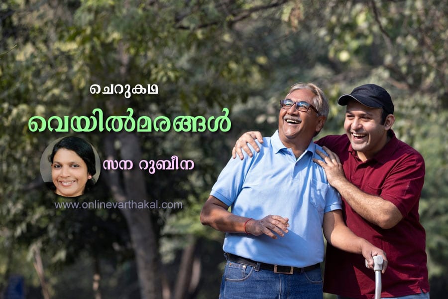 story-vayil-marangal വെയിൽമരങ്ങൾ