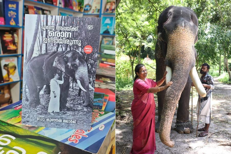 dr-kunjamma-george ഉൽസവ സീസൺ - ആനക്കലിയുടെ കാലം