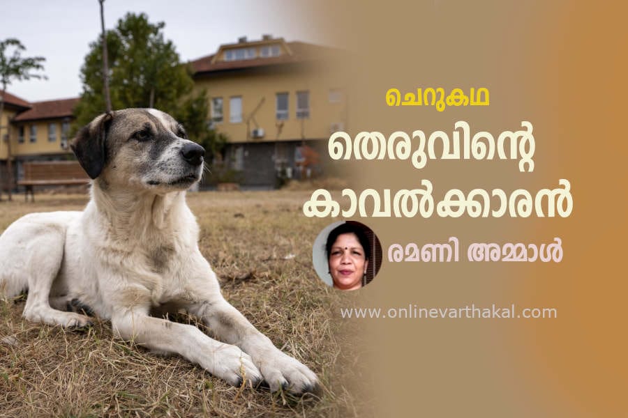 ചെറുകഥ - തെരുവിന്റെ കാവൽക്കാരൻ